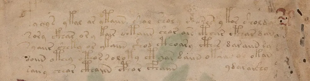 The first five lines of folio 1r, close up, in a looped, rounded script