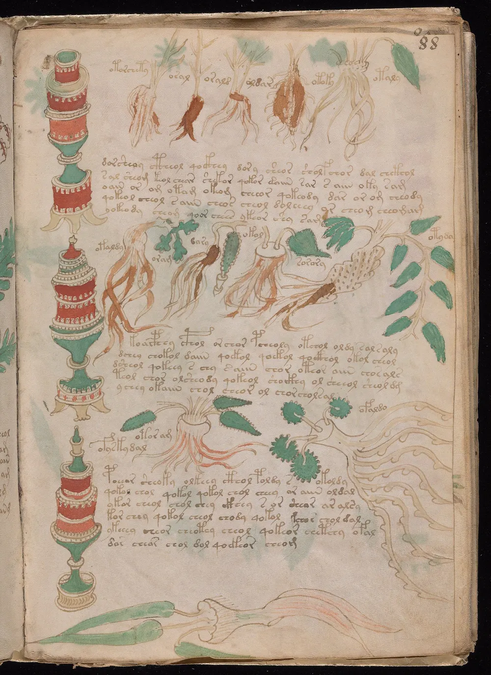 Folio 88r: three tall painted jars down the left margin, and rows of roots and leaves across the page, each with a short label, between paragraphs of text